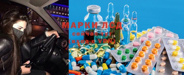spice Бикин